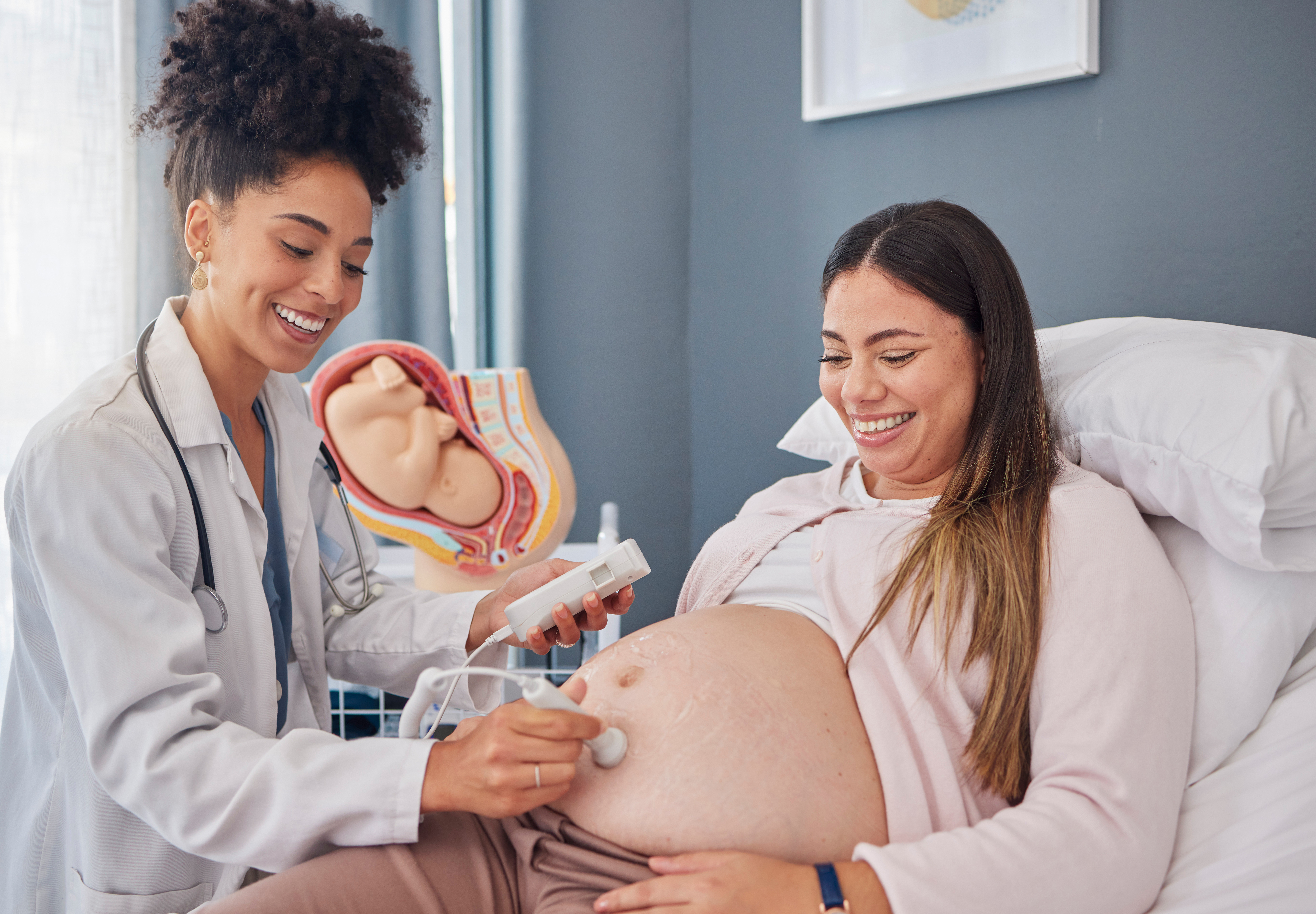 pregnant-woman-and-doctor-with-heart-rate-monitor-2023-11-27-05-12-47-utc - Ultrasound Imaging Concepts
